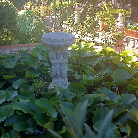 Lägenhet Casa Palazzo A Mare