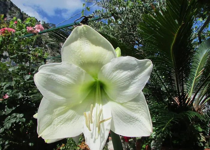 Casa Palazzo A Mare Capri