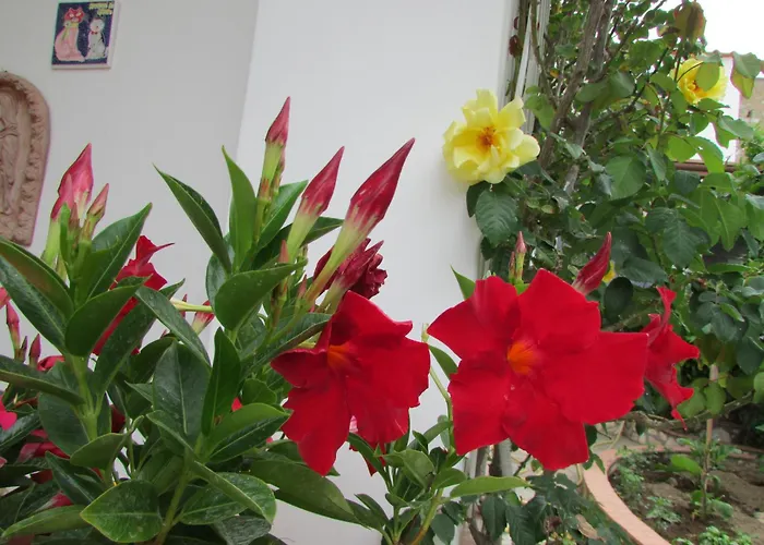 Casa Palazzo A Mare * Capri