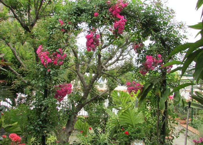 Casa Palazzo A Mare Lägenhet *