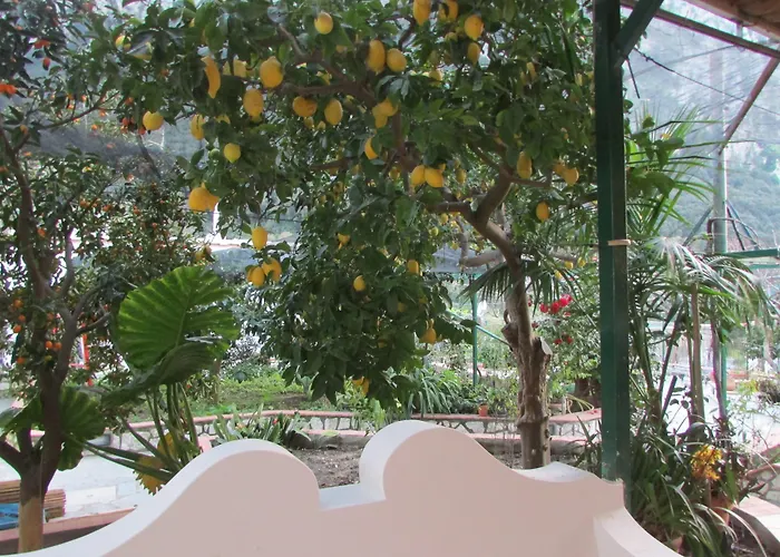 Casa Palazzo A Mare Apartment *