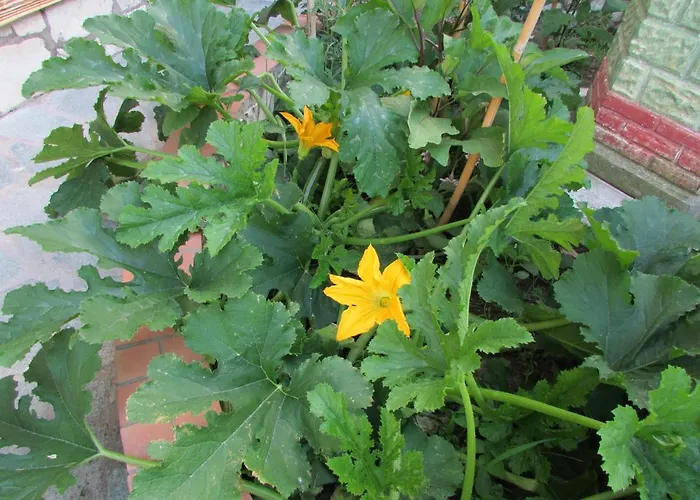 Casa Palazzo A Mare Apartment *