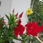 Casa Palazzo A Mare * كابري