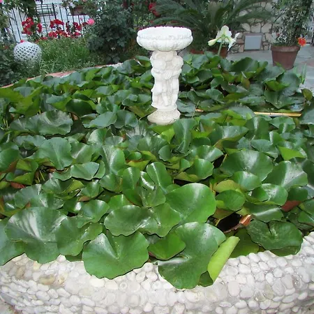 לינה וארוחת בוקר Palazzo A Mare 2*