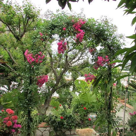 Casa Palazzo A Mare Apartamento *