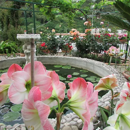 לינה וארוחת בוקר Palazzo A Mare 2*