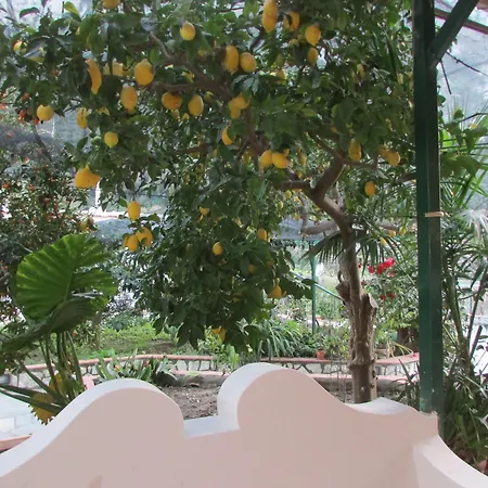 Casa Palazzo A Mare 公寓 *