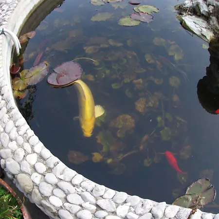 Apartamento Casa Palazzo A Mare *