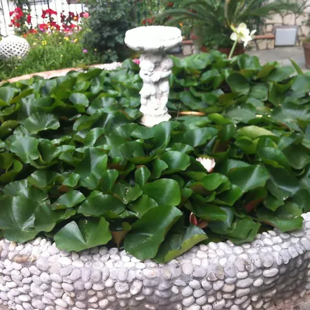 Casa Palazzo A Mare * 卡普里