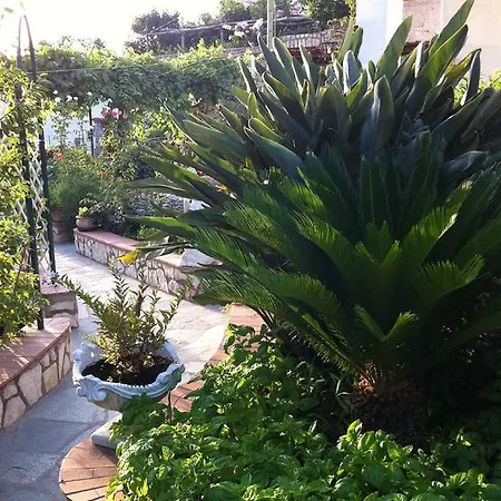 לינה וארוחת בוקר Palazzo A Mare קאפרי