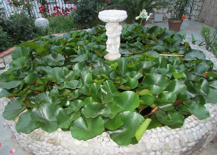 Appartamento Casa Palazzo A Mare *