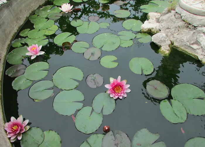 Apartamento Casa Palazzo A Mare Capri