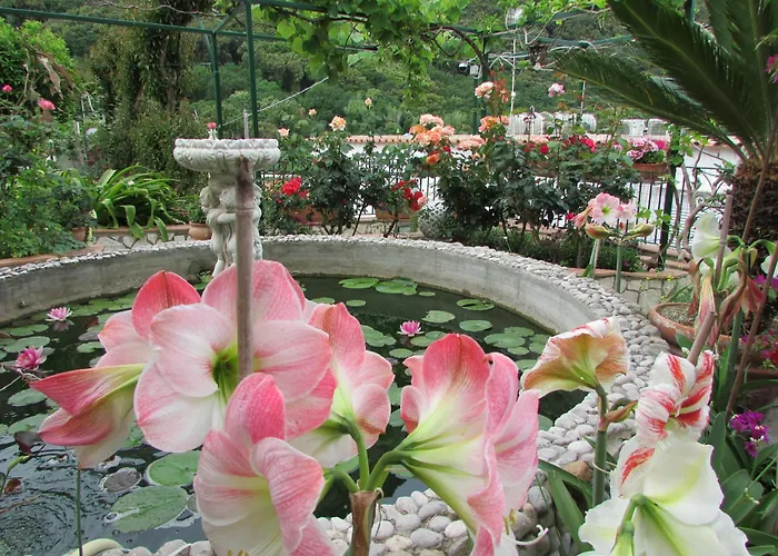 Apartment Casa Palazzo A Mare *