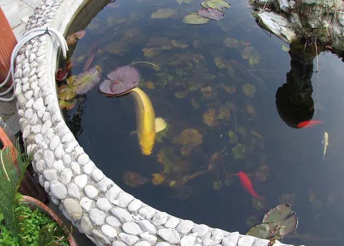 Appartamento Casa Palazzo A Mare *