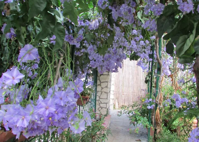 Casa Palazzo A Mare *