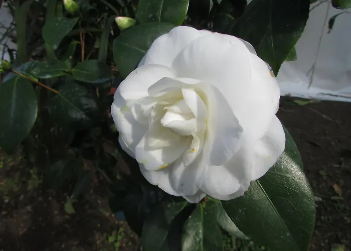 Casa Palazzo A Mare Apartment *