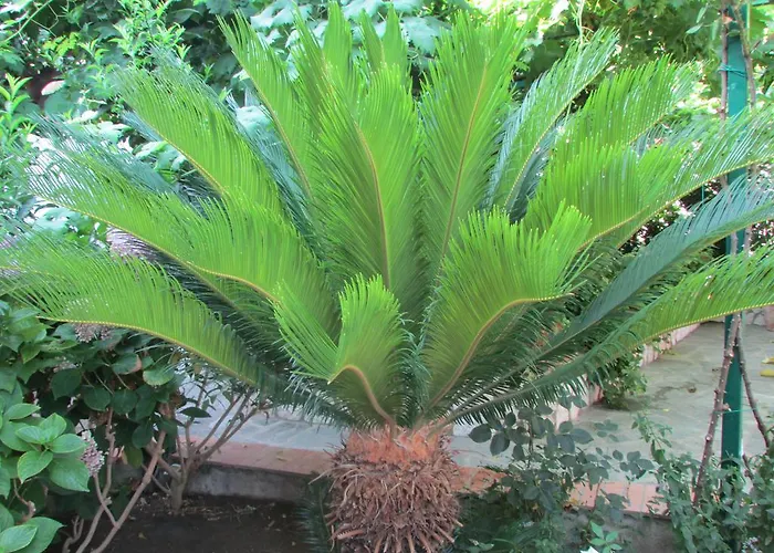 Apartamento Casa Palazzo A Mare