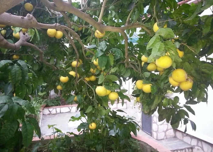 Casa Palazzo A Mare Appartamento Capri