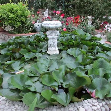 Bed and Breakfast Palazzo A Mare 2*