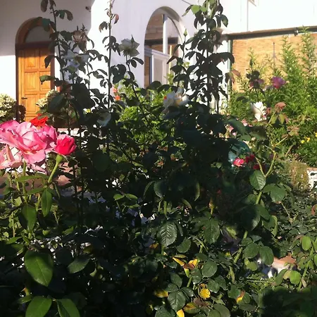 Casa Palazzo A Mare Daire *