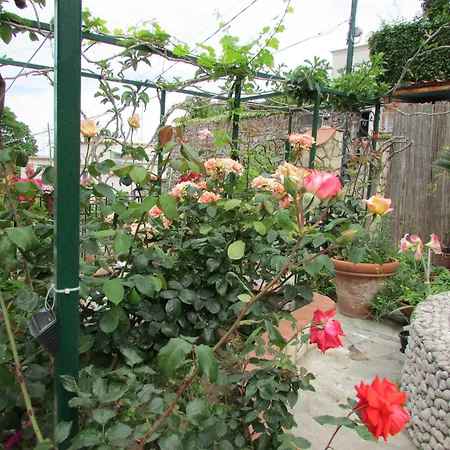 Palazzo A Mare Bed and Breakfast