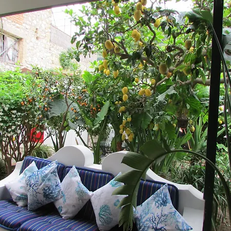 Casa Palazzo A Mare 公寓 卡普里
