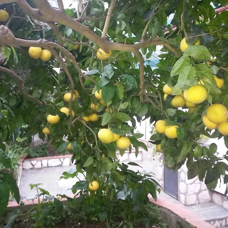 مبيت وإفطار بالازو ا ماري فندق مبيت وإفطار كابري