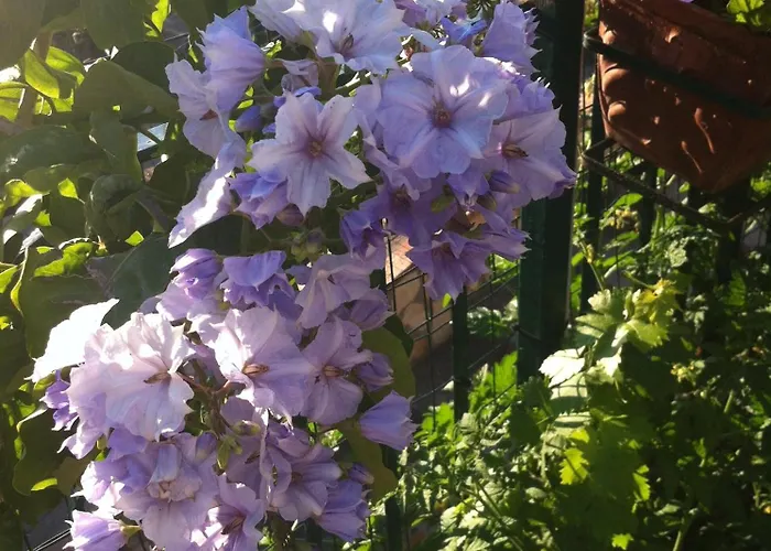 Appartement Casa Palazzo A Mare