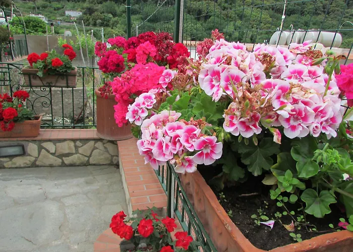 Casa Palazzo A Mare *