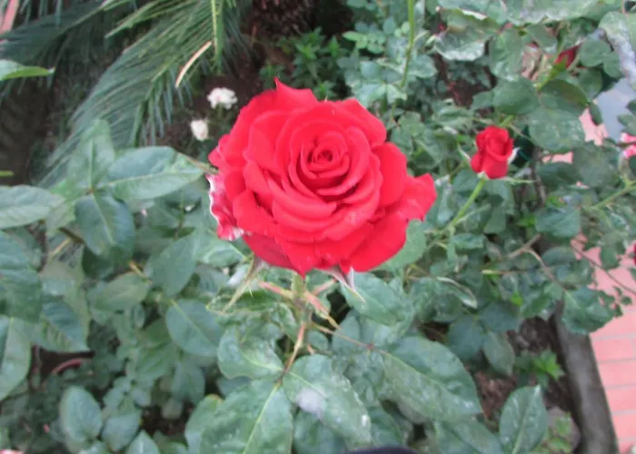 Casa Palazzo A Mare Daire *