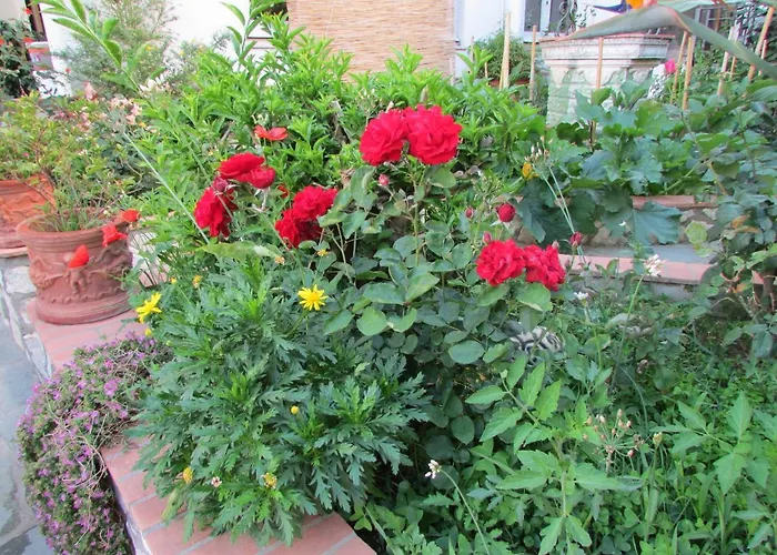 Casa Palazzo A Mare Appartement